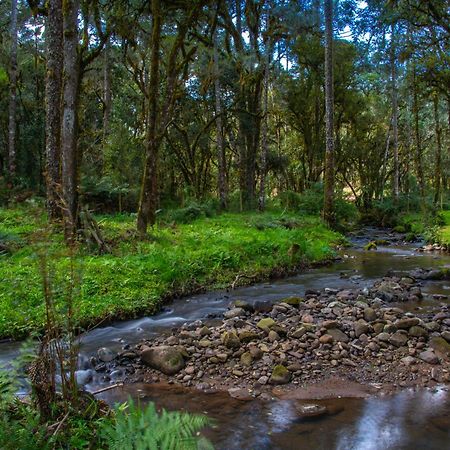 Refugio Tres Catarinas Villa Urubici Dış mekan fotoğraf