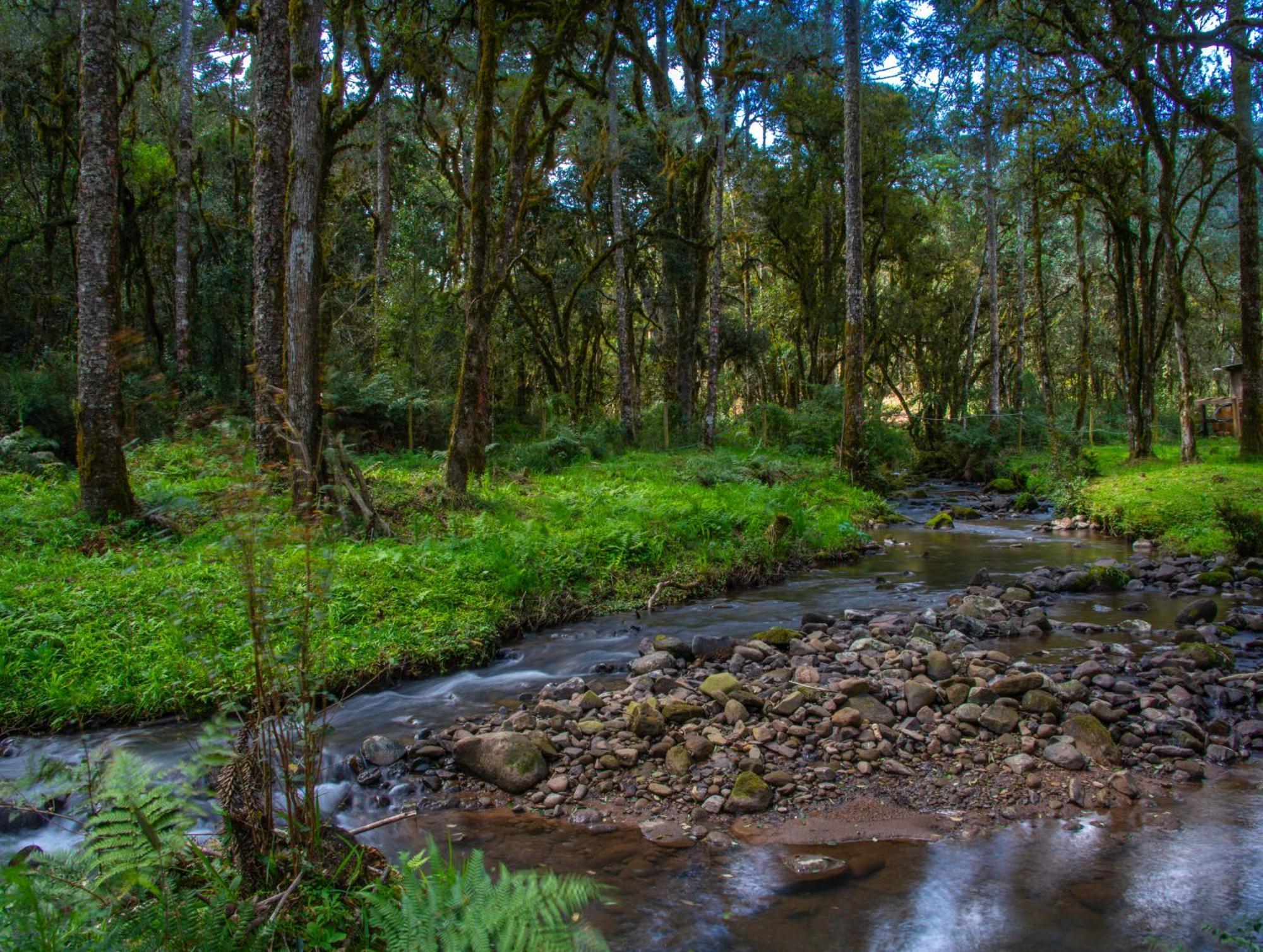 Refugio Tres Catarinas Villa Urubici Dış mekan fotoğraf